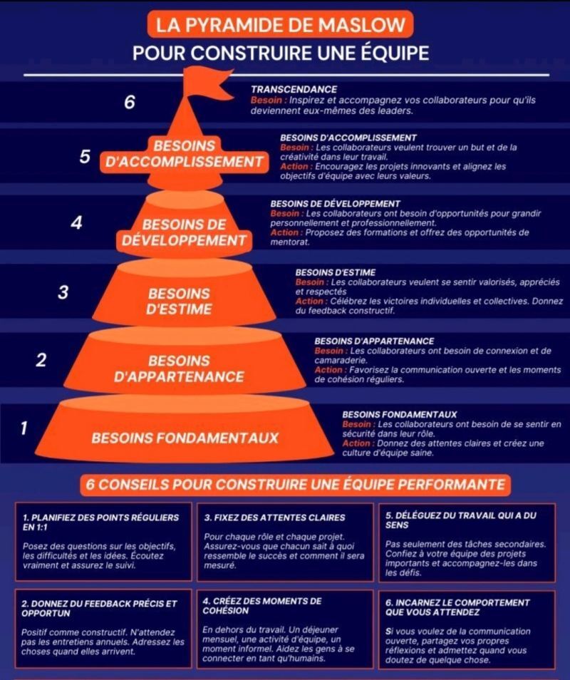 Tu veux une équipe performante. Commence par le cerveau.